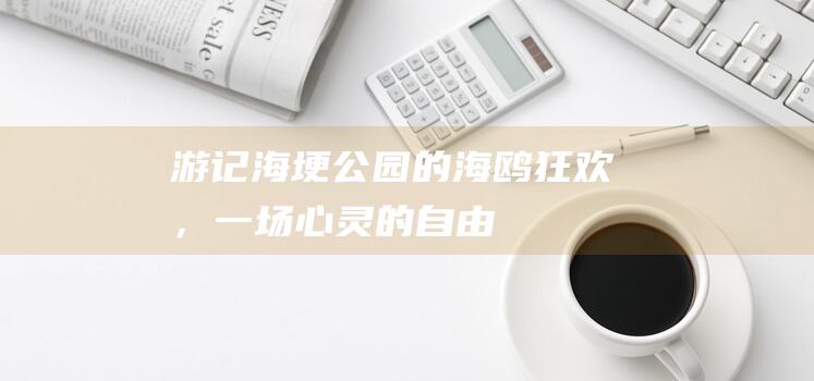 游记海埂公园的海鸥狂欢，一场心灵的自由